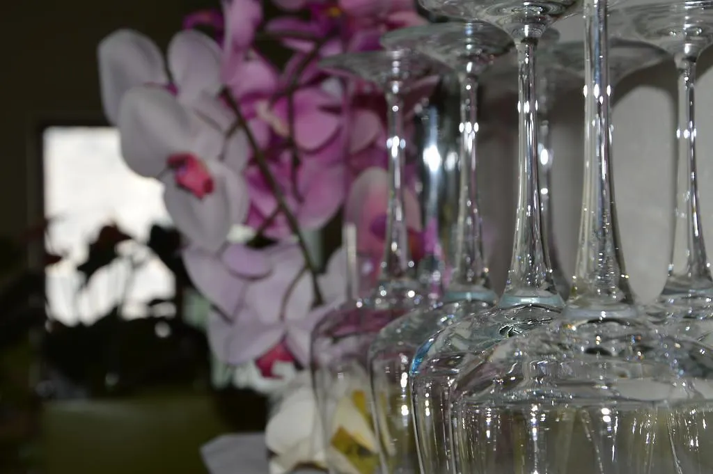 Hotel Garni Selene مالتشيزينيه إيطاليا